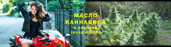 2c-b Горняк
